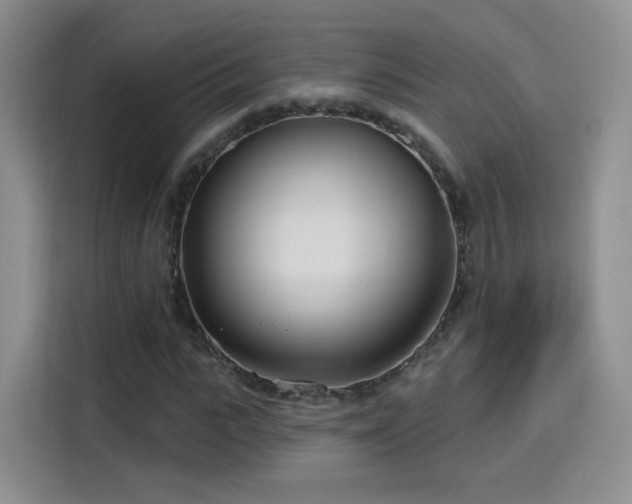 X0000115830919200911201502