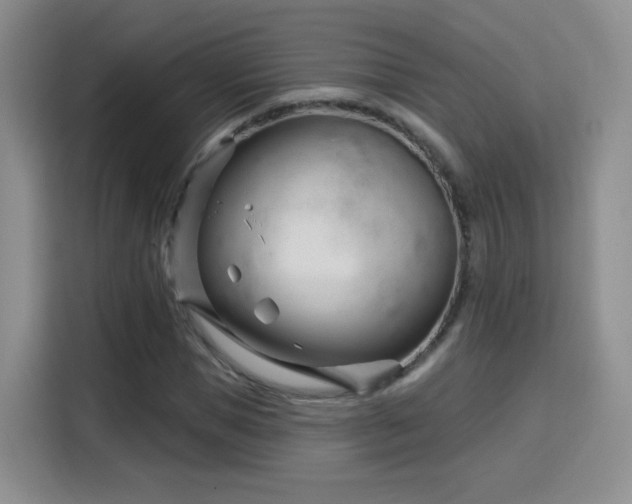 X0000115830921200911201502