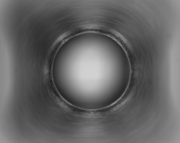 X0000115830922200911201502