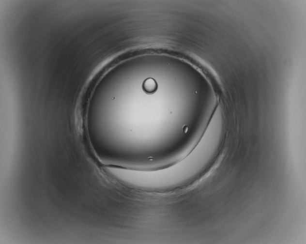 X0000115830925200911201502