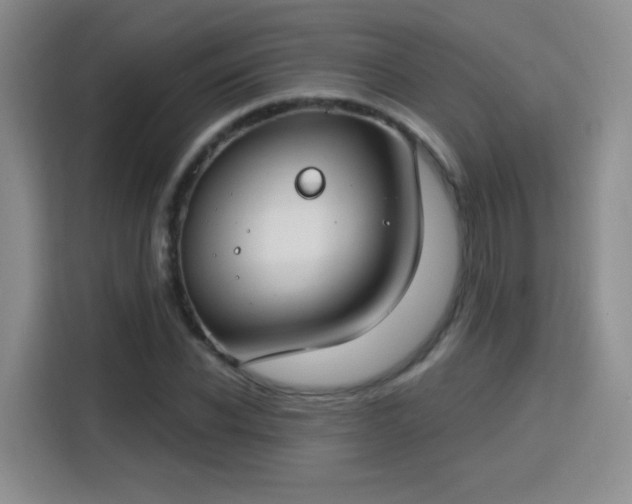 X0000115830926200911201502