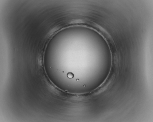 X0000115830929200911201502