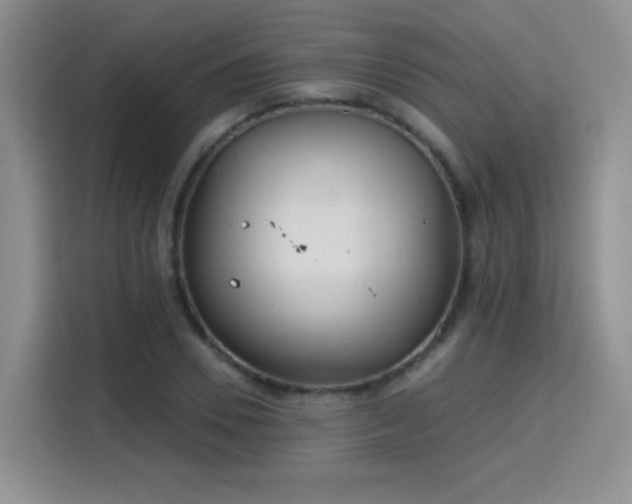 X0000115830930200911201502