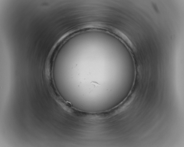 X0000115830931200911201502