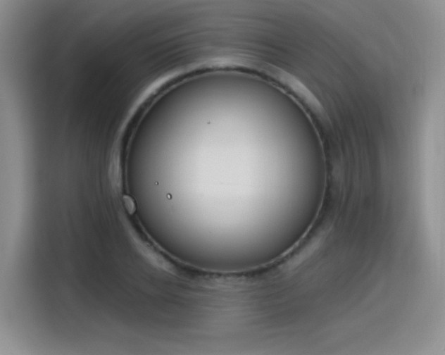 X0000115830934200911201502