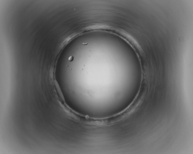 X0000115830937200911201502