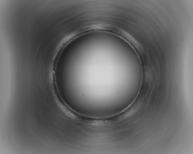 X0000115830938200911201502