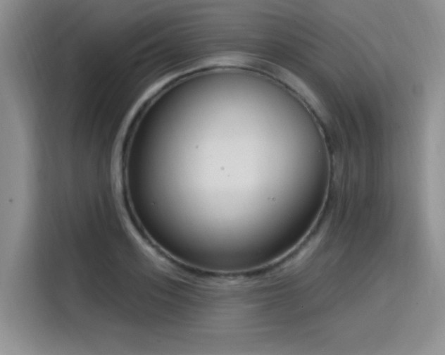 X0000115830939200911201502