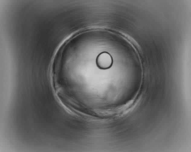 X0000115830941200911201502