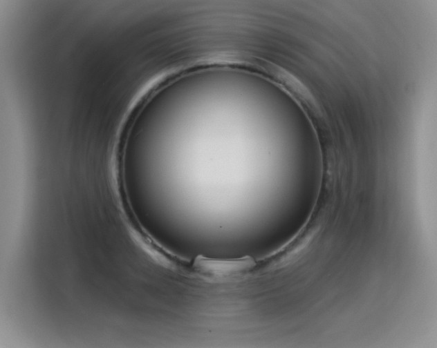 X0000115830942200911201502