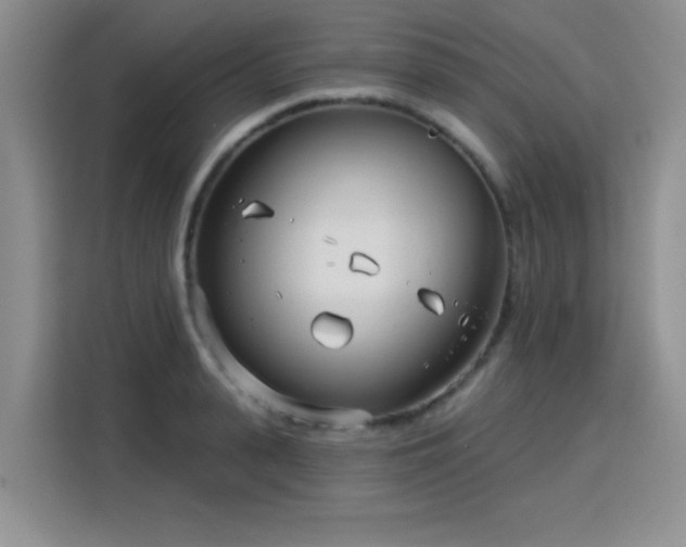 X0000115830943200911201502