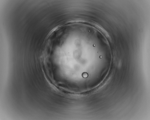 X0000115830945200911201502