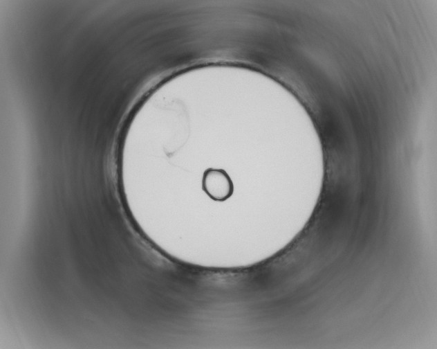 X0000115830950200911201502