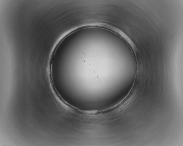 X0000115830951200911201502