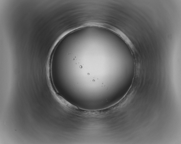 X0000115830955200911201502