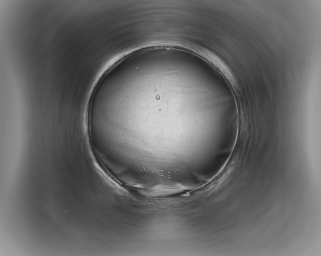 X0000115830958200911201503