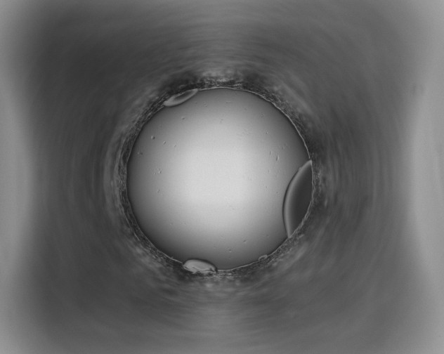 X0000115830961200911201502