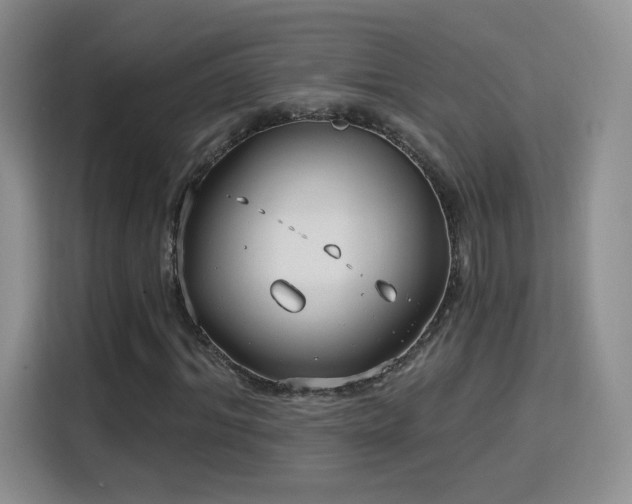 X0000115830964200911201502