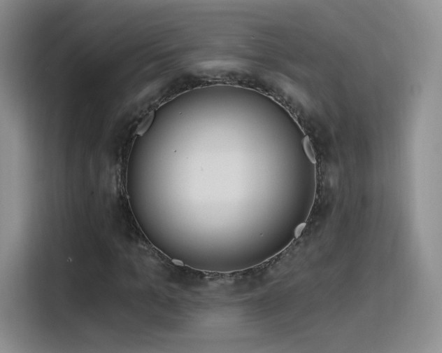 X0000115830965200911201502