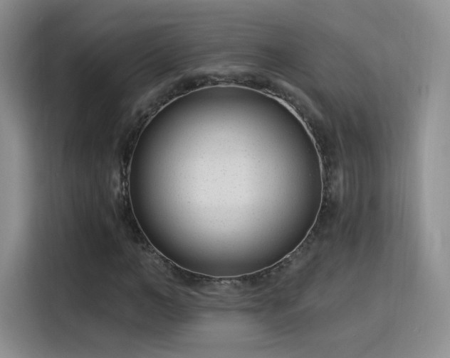 X0000115830966200911201502