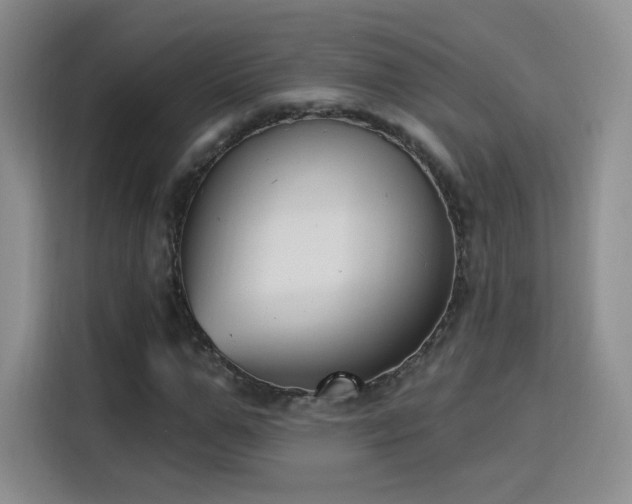 X0000115830967200911201502