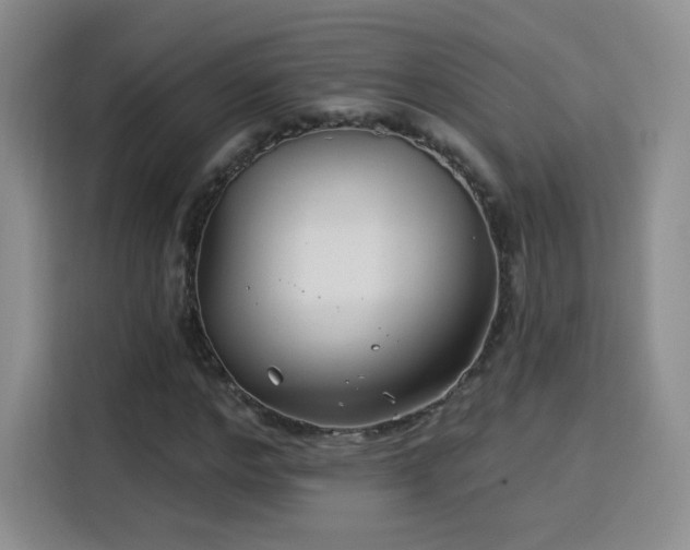 X0000115830968200911201502