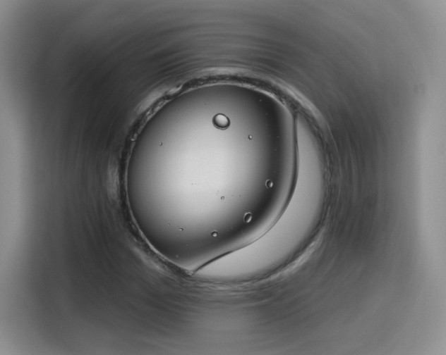 X0000115830969200911201502