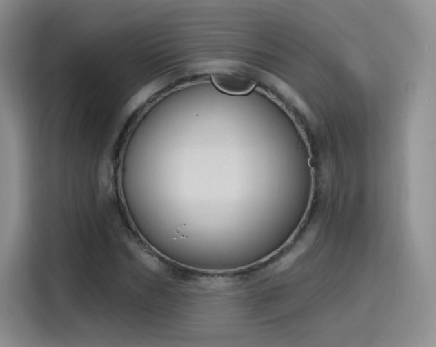 X0000115830970200911201502