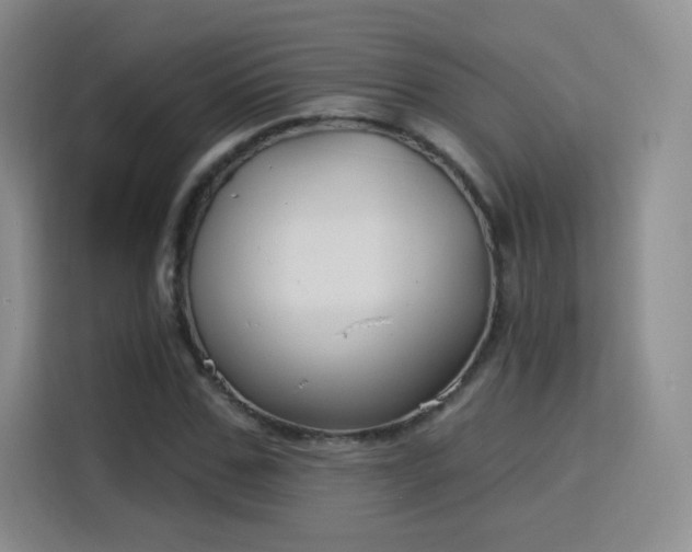 X0000115830971200911201502