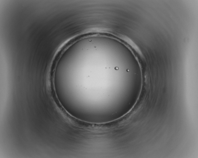 X0000115830972200911201502