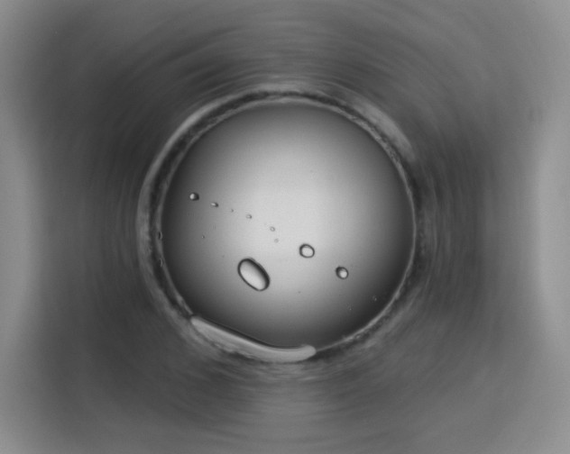 X0000115830976200911201502