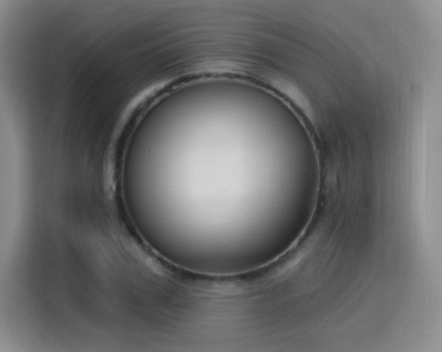 X0000115830979200911201502