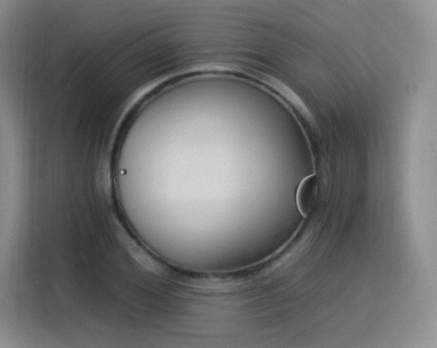 X0000115830980200911201502