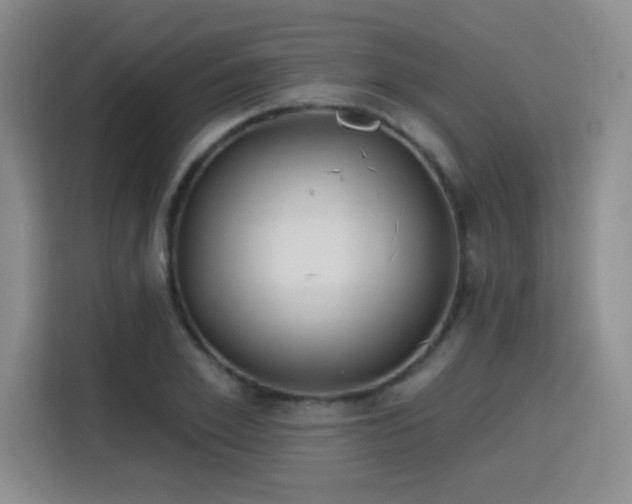 X0000115830981200911201502