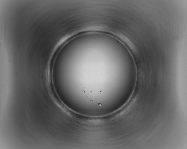 X0000115830982200911201502