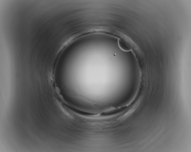 X0000115830985200911201502