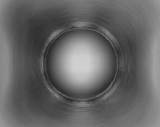 X0000115830986200911201502