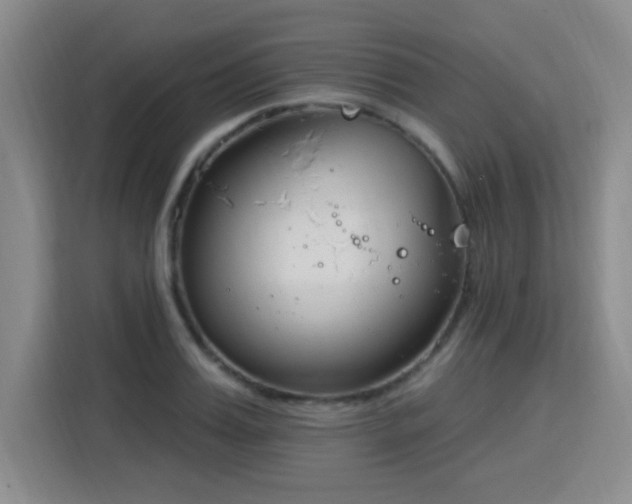 X0000115830987200911201502