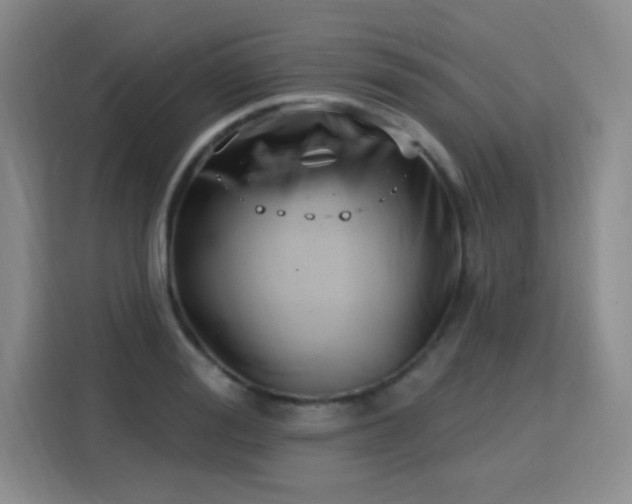 X0000115830988200911201502