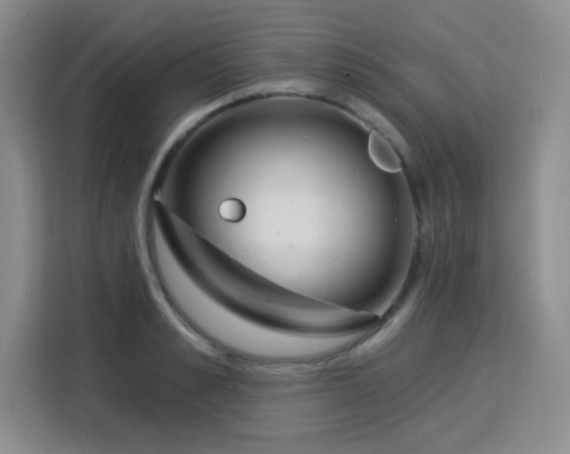 X0000115830989200911201502