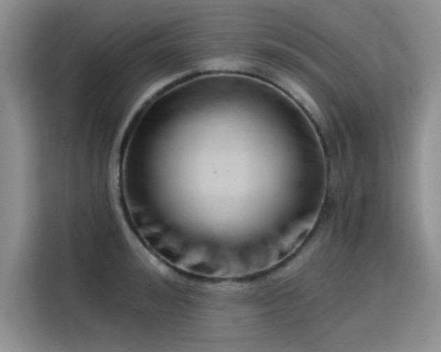 X0000115830992200911201502