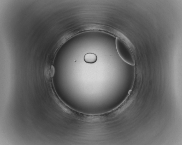 X0000115830993200911201502