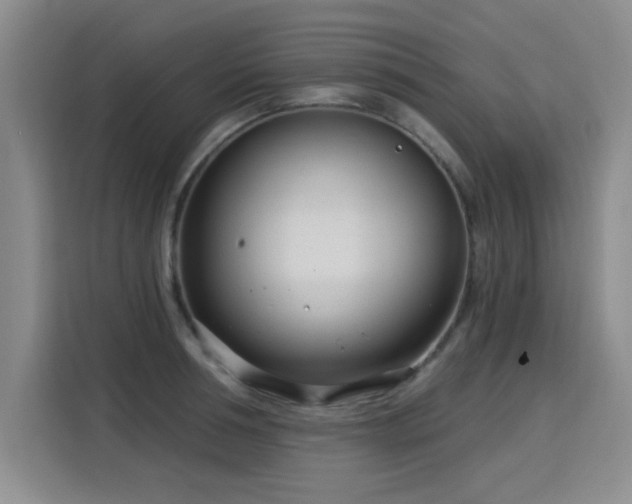 X0000115830994200911201502