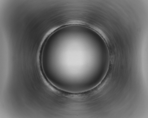 X0000115830995200911201501