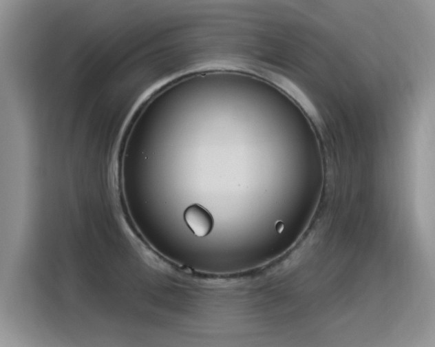 X0000115830996200911201501