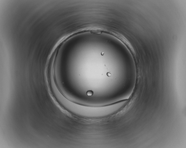 X0000115830997200911201501