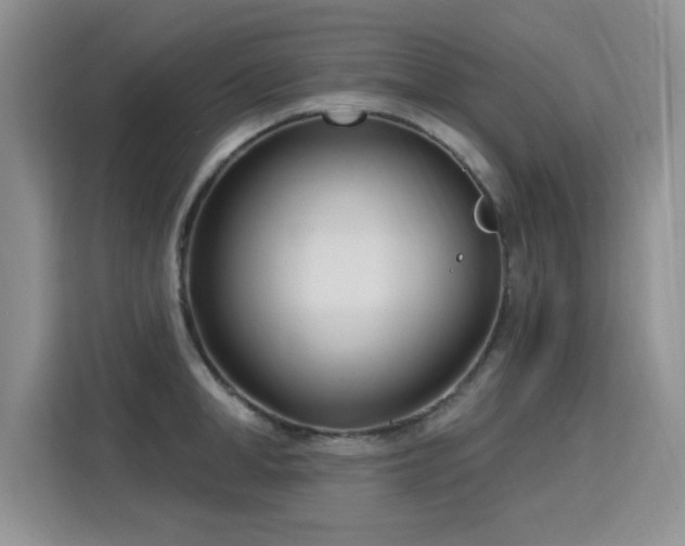 X0000115830998200911201501