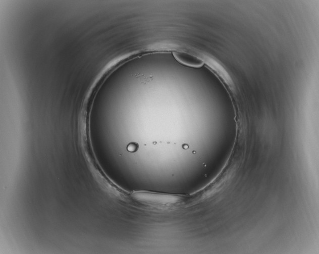 X0000115831000200911201501