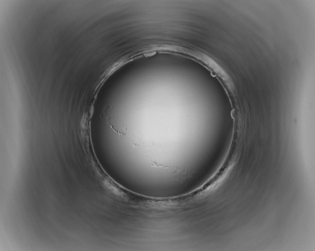 X0000115831001200911201501