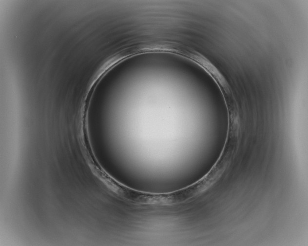 X0000115831002200911201501